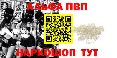 СК Будённовск