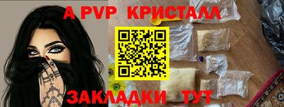 СК Будённовск