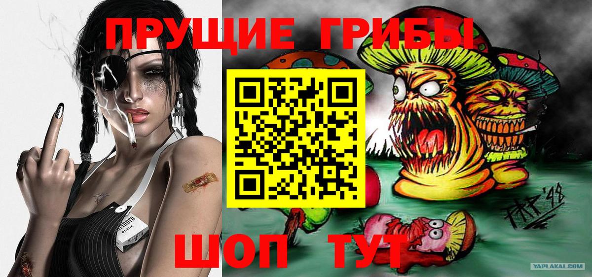 как найти закладки  Вход с VPN  Назарово  Галлюциногенные грибы Psilocybine cubensis 